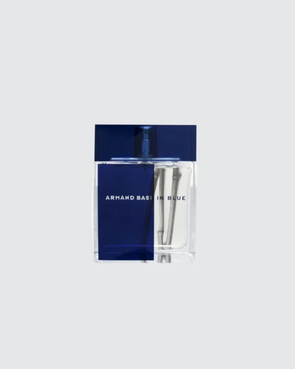 Armand Basi In Blue