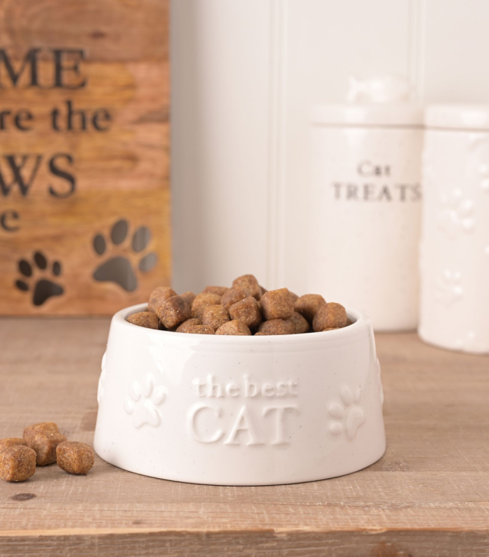 Best of Breed Paw Prints Small Cat Bowl - "The Best Cat"